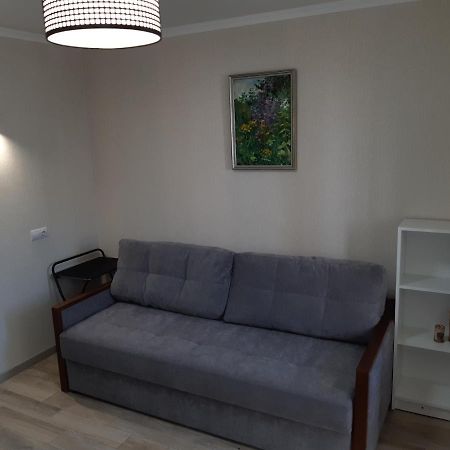 Apartment Near Stadio Metalist ハルキウ エクステリア 写真